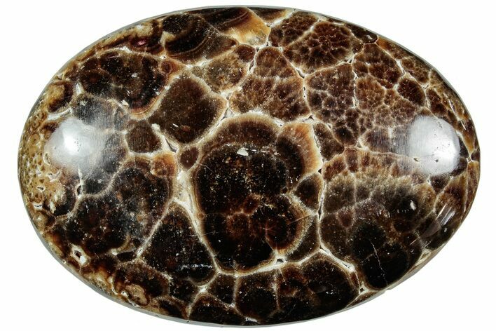 Polished Chocolate Calcite Palm Stone - Pakistan #220928